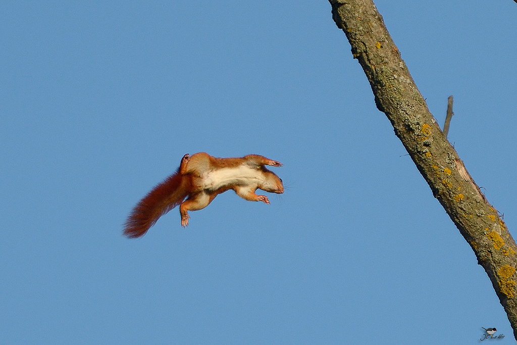 Sem 10 (02/03-08/03)