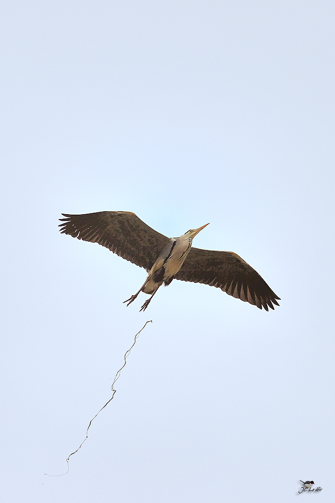 Sem 13 (23/03-29/03)