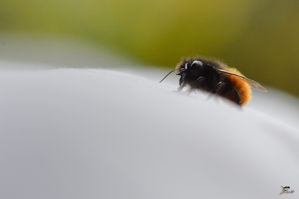 Sem 14 (30/03-05/04)