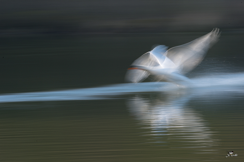 Sem 15 (06/04-12/04)