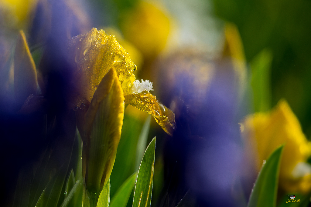 Sem 16 (13/04-19/04)