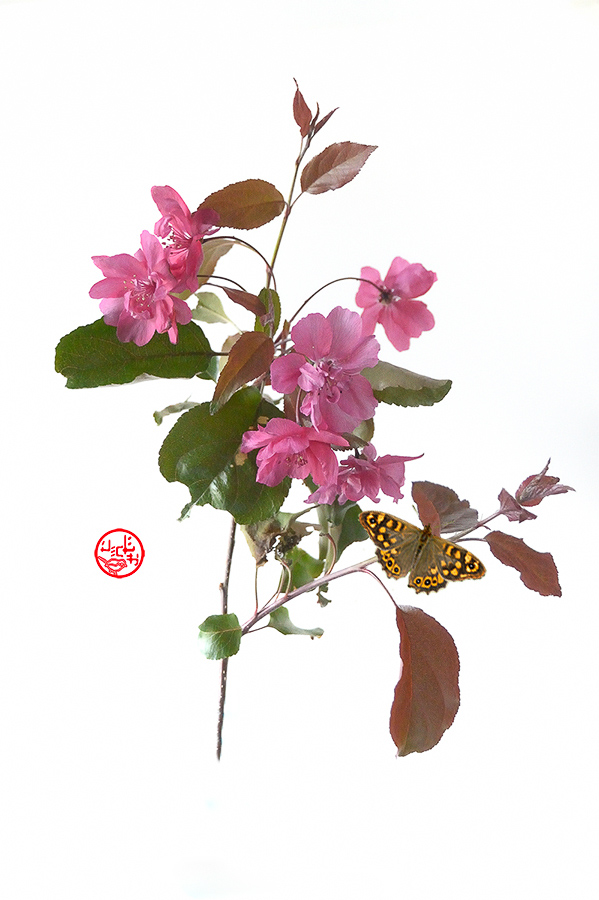 Sem 21 (18/05-24/05)