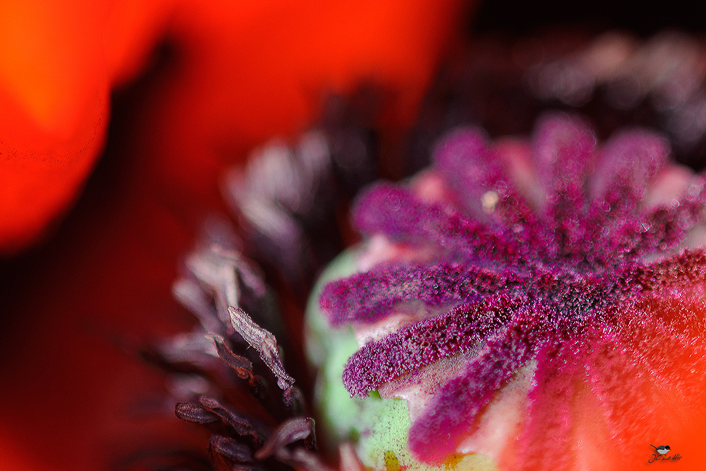 Sem 22 (25/05-31/05)