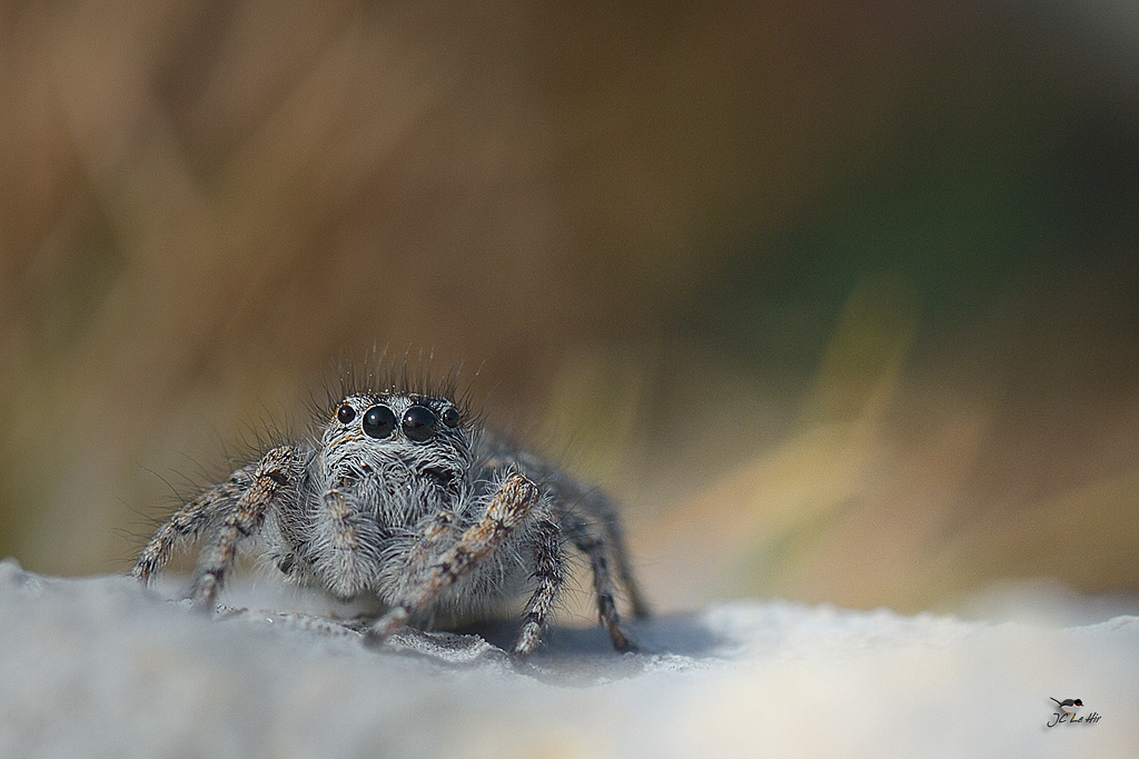 Sem 23 (01/06-07/06)