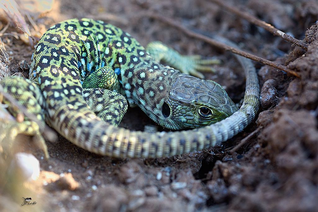 Sem 24 (08/06-14/06)