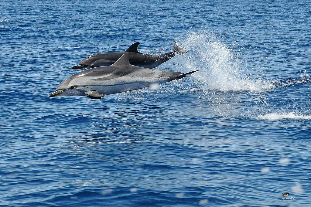 Sem 27 (29/28-05/07)