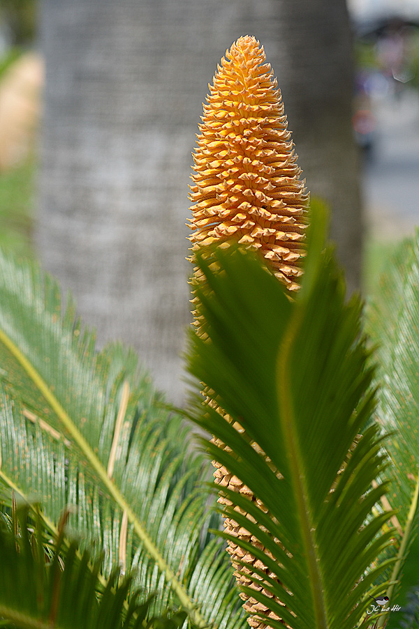 Sem 29 (13/07-19/07)