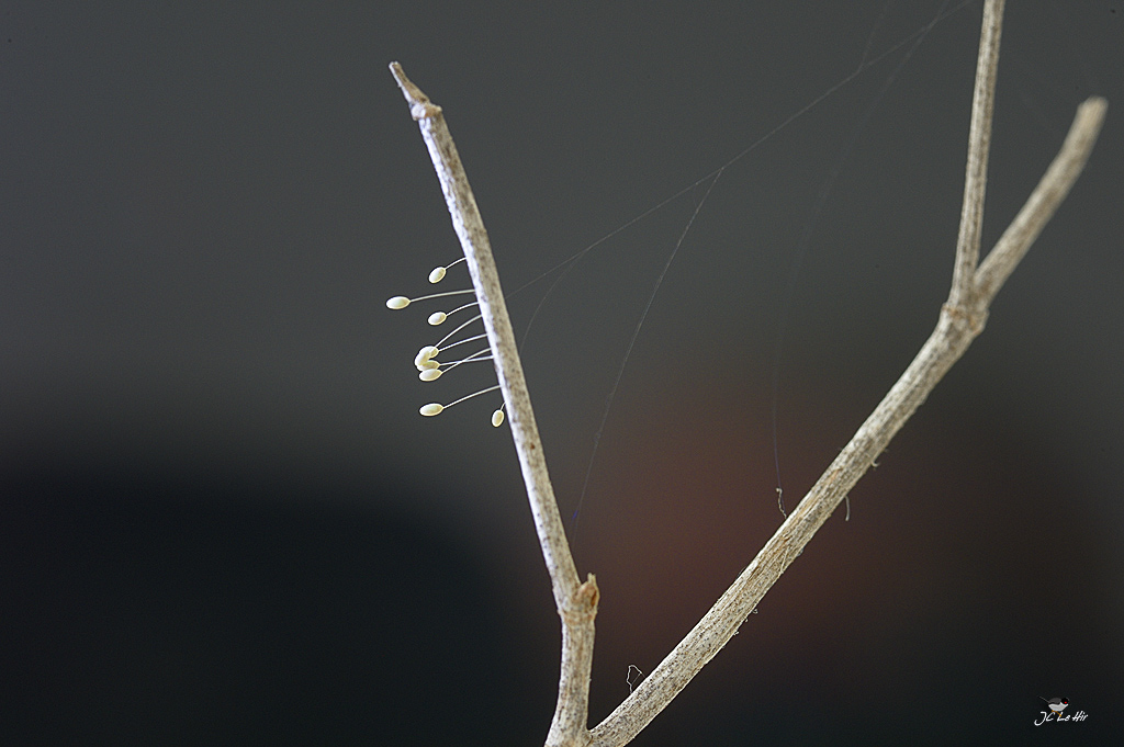 Sem 30 (20/07-26/07)