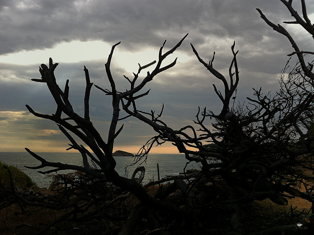 Sem 33 (10/08-16/08)