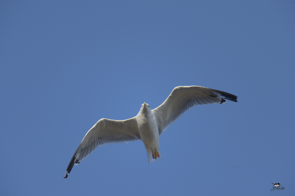 Sem 34 (17/08-23/08)