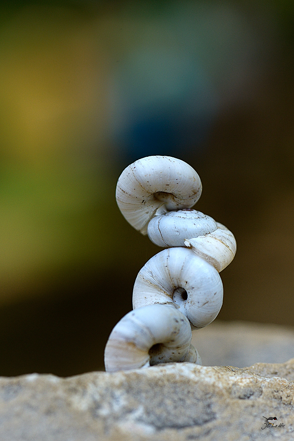 Sem 38 (14/09-20/09)