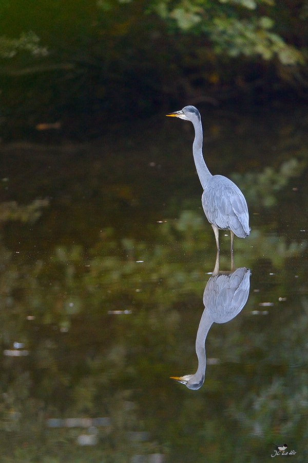 Sem 40 (28/09-04/10)