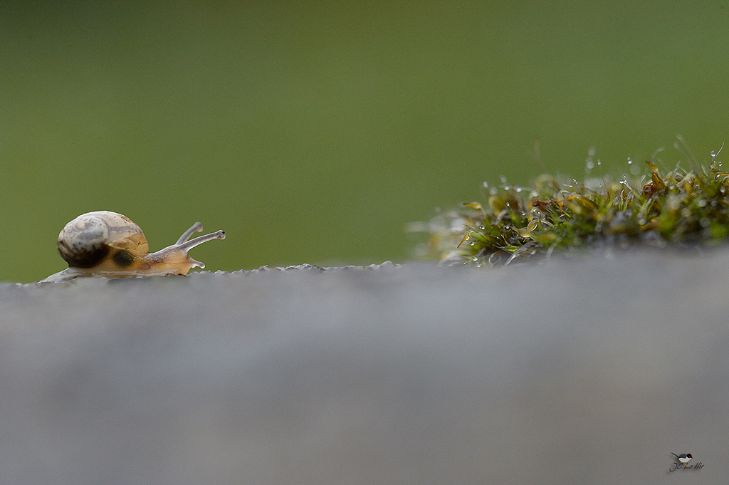 Sem 44 (26/10-01/11)