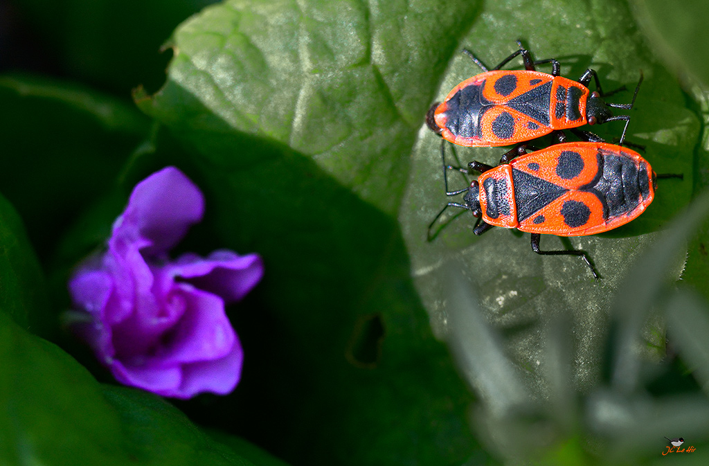 Sem 49 (30/11-06/12)