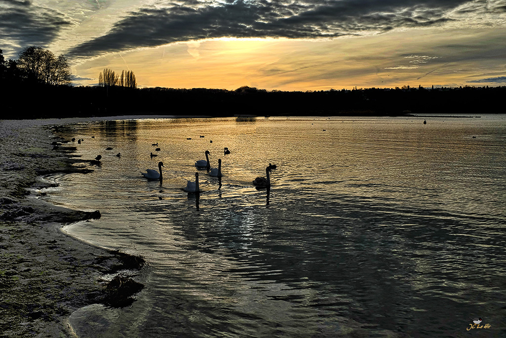 Sem 53 (28/12-31/12)