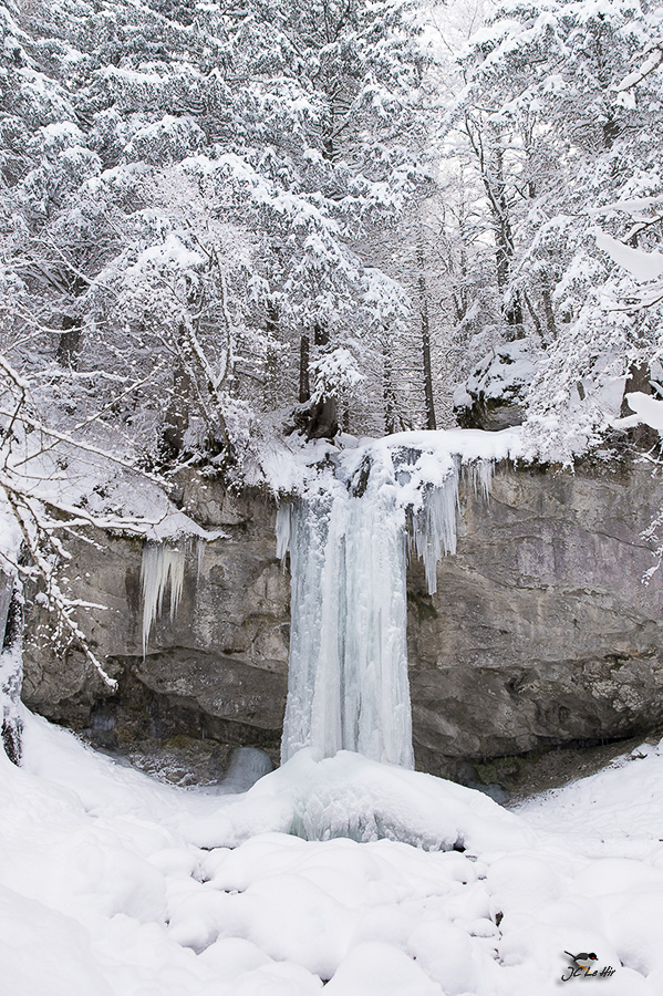 Semaine 2  (09/01-15/01)