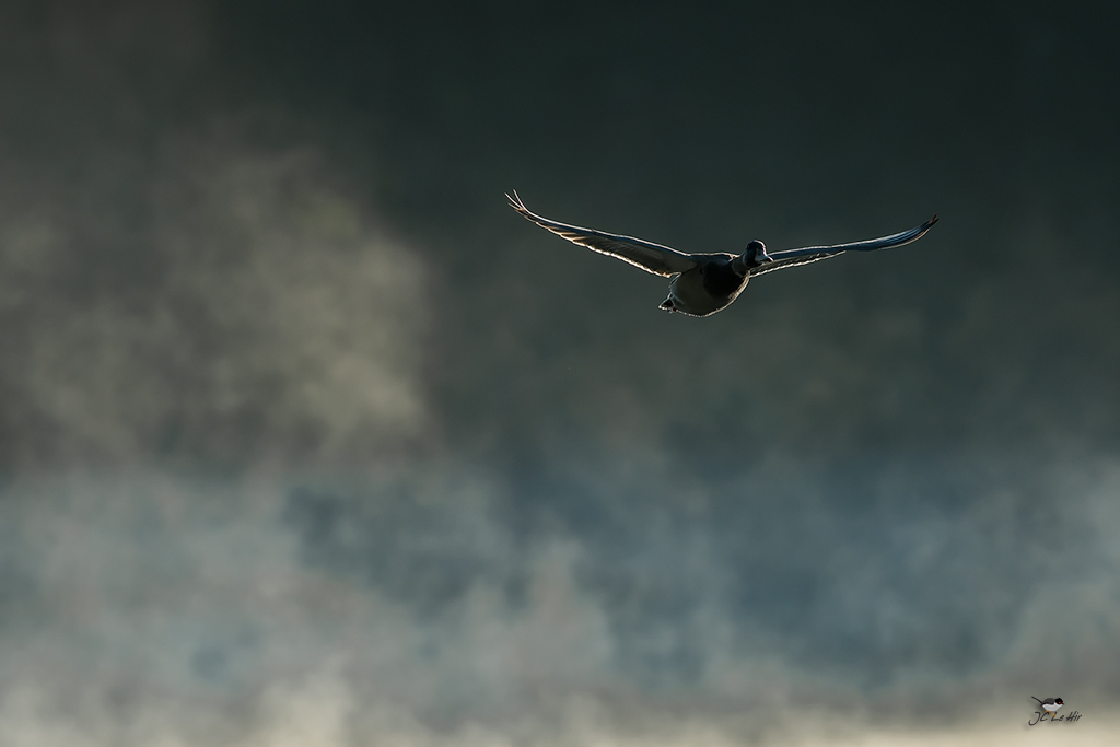 Semaine 38 (18/09-24/09) 