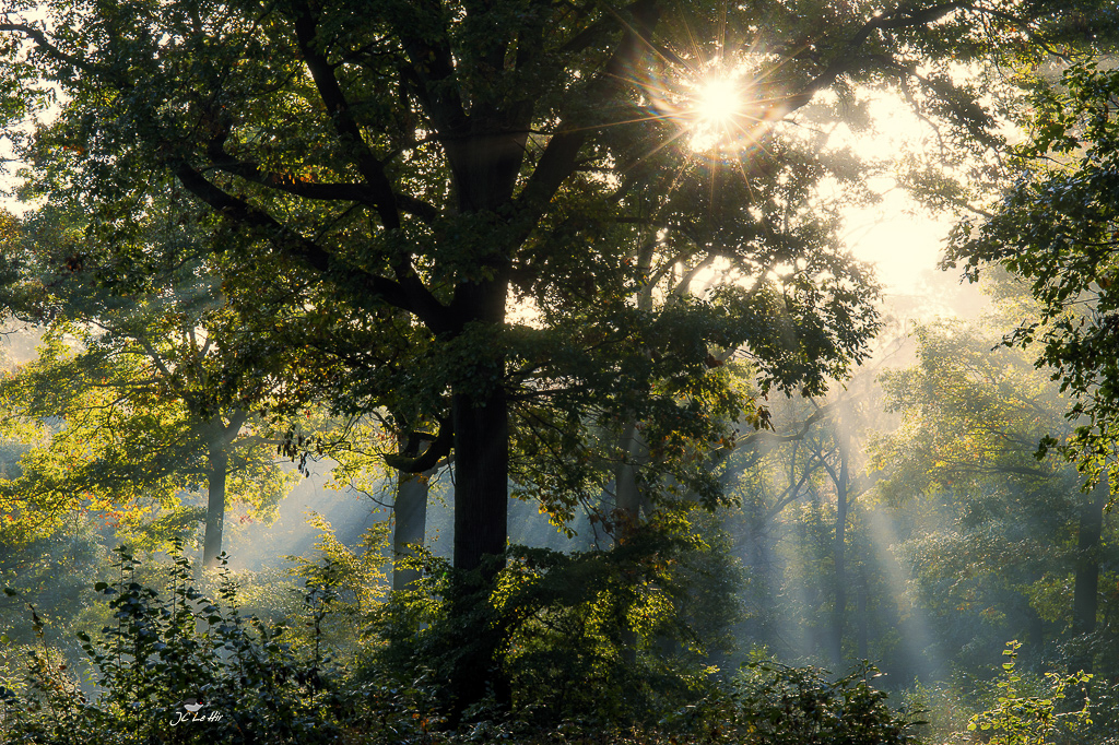 Semaine 40 (02/09-08/10) 